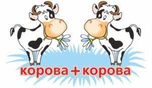 изображение из решения ППС