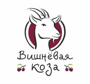 изображение из решения ППС