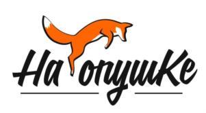 изображение из решения ППС