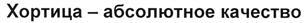 изображение из решения ППС
