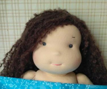 изображение из решения ППС