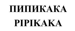 изображение из решения ППС