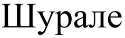 изображение из решения ППС
