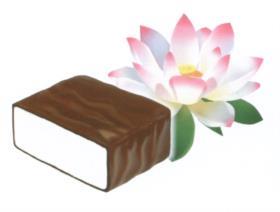 изображение из решения ППС