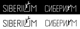 изображение из решения ППС
