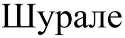 изображение из решения ППС