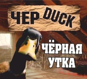 изображение из решения ППС