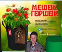 изображение из решения ППС