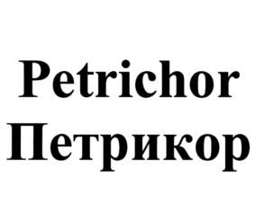 изображение из решения ППС