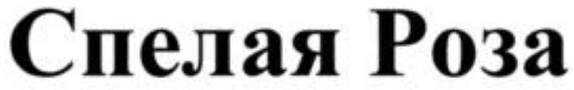 изображение из решения ППС