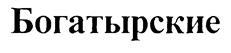 изображение из решения ППС