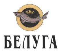 изображение из решения ППС