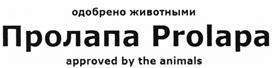 изображение из решения ППС