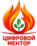 изображение из решения ППС