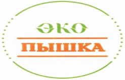 изображение из решения ППС