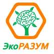 изображение из решения