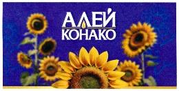 изображение из решения