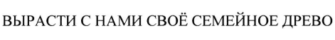 изображение из решения