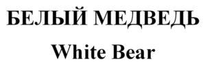 изображение из решения ППС