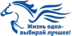 изображение из решения ППС