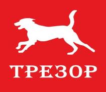 изображение из решения ППС