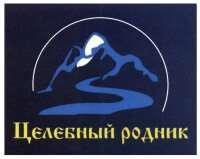 изображение из решения ППС