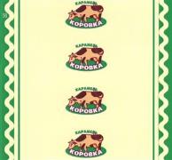 изображение из решения ППС