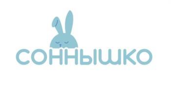 изображение из решения ППС