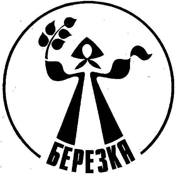 изображение из решения