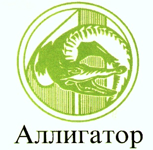 изображение из решения