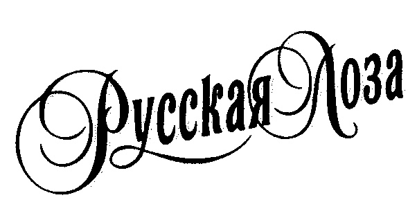 изображение из решения