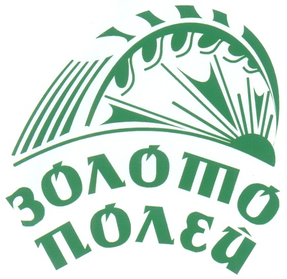 изображение из решения