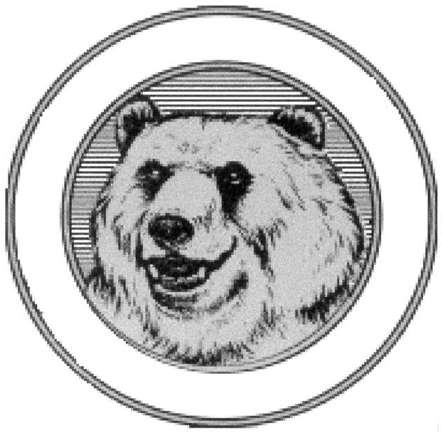 изображение из решения