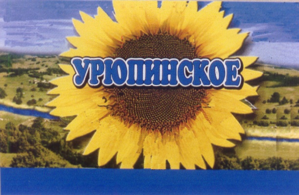 изображение из решения