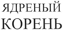 изображение из решения