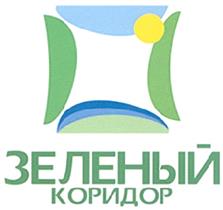 изображение из решения
