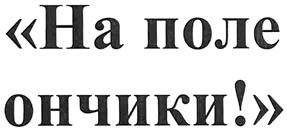 изображение из решения