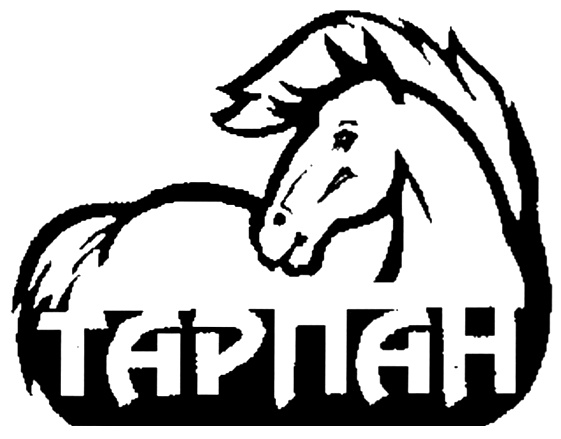 изображение из решения