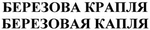 изображение из решения
