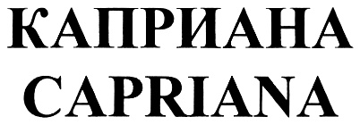 изображение из решения