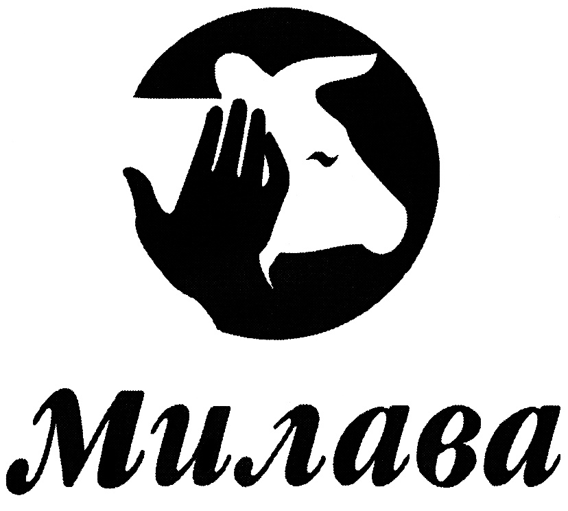 изображение из решения