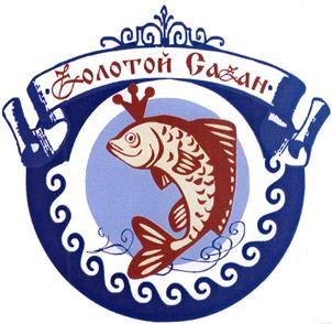 изображение из решения