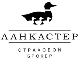 изображение из решения