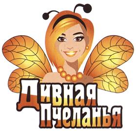 изображение из решения