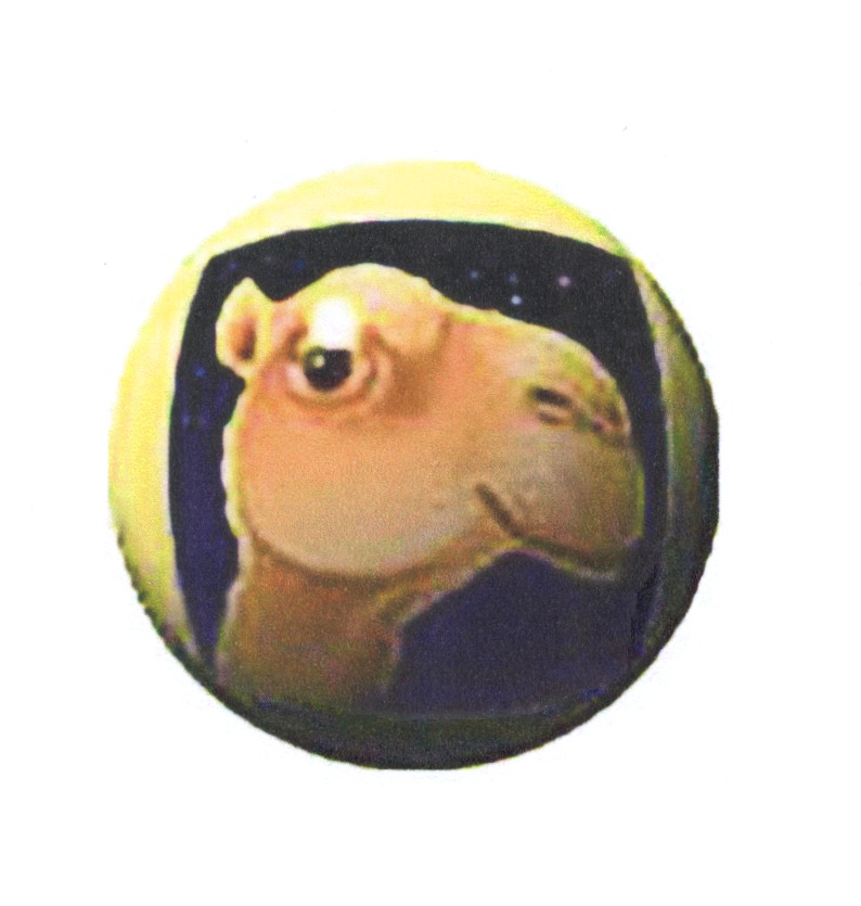 изображение из решения