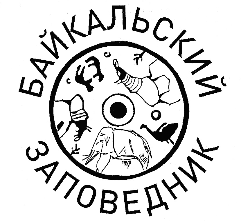 изображение из решения