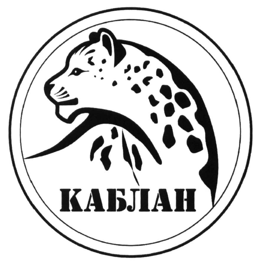 изображение из решения