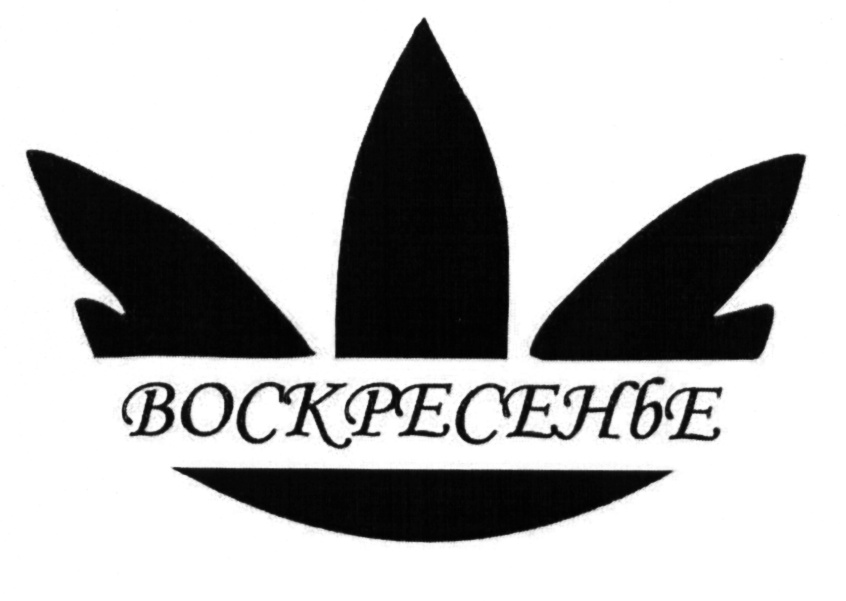 изображение из решения