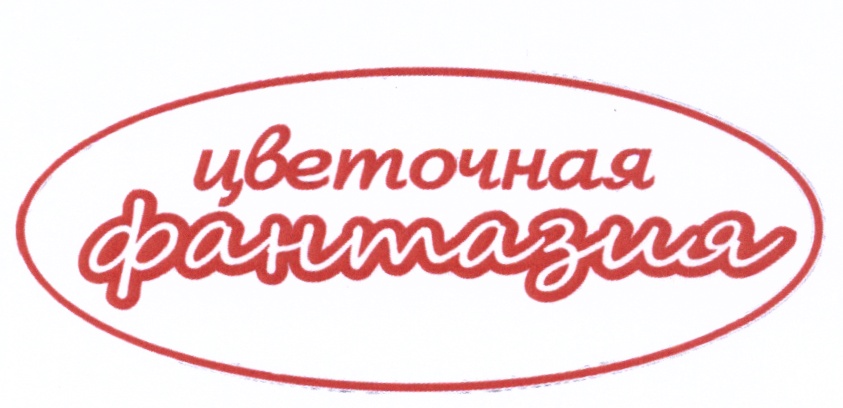 изображение из решения