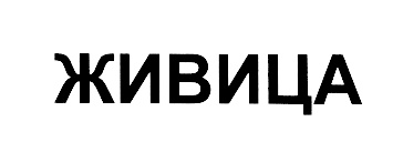 изображение из решения